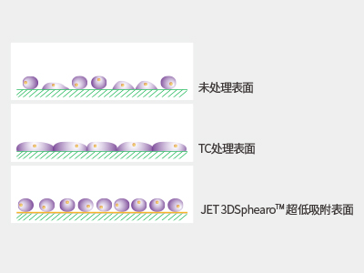 超低吸附表面具有共價(jià)結(jié)合的水凝膠層，具有極強(qiáng)的抗蛋白吸附性和抗細(xì)胞貼壁性，可有效抑制細(xì)胞附著